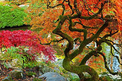 承接初代故事 VR游戏《莫斯2》正式公开